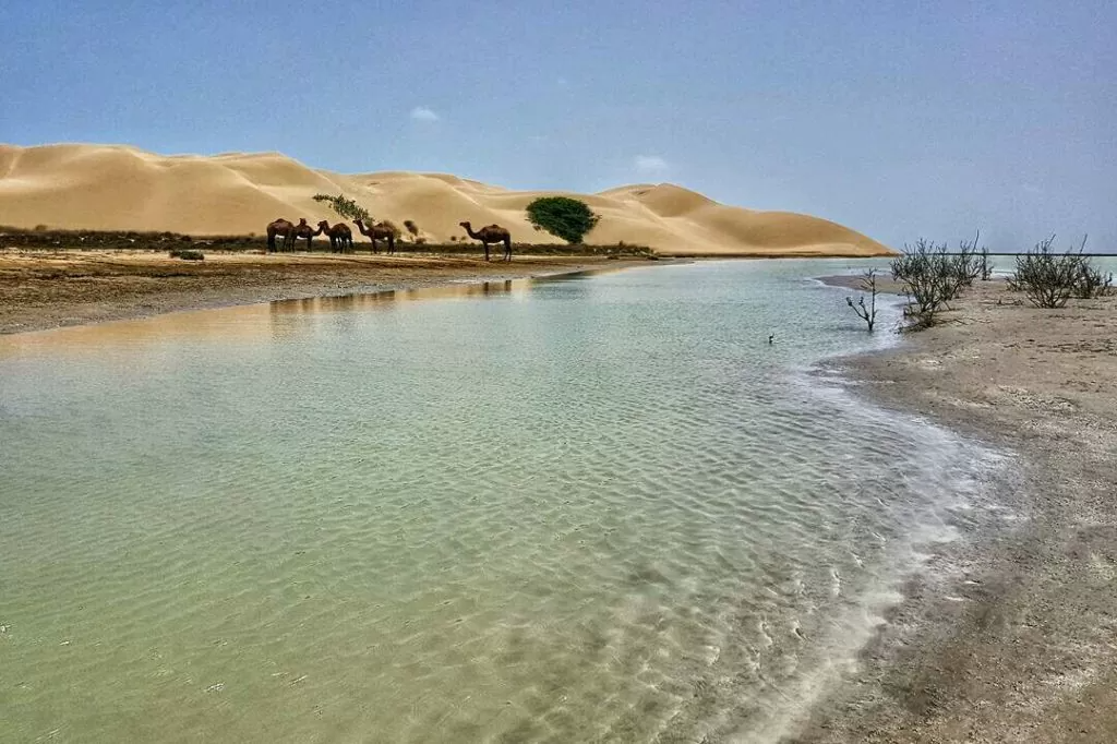 چرا بومگردی در بندر تنگ چابهار بهترین انتخاب برای تعطیلات شماست؟