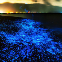 lRfMeZOnSAzdjxMze09tYe6v2W5xCv7q